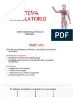 Sistema circulatorio: glóbulos, función y formación