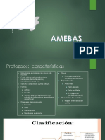 AMEBAS .pdf