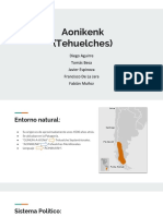 Tehuelches PDF