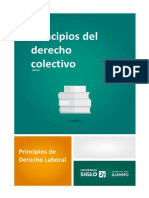 Principios+del+derecho+colectivo.pdf