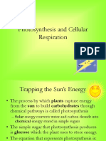 Photosynthesis and Cellular Respiration Notes New 1228089552907949 8