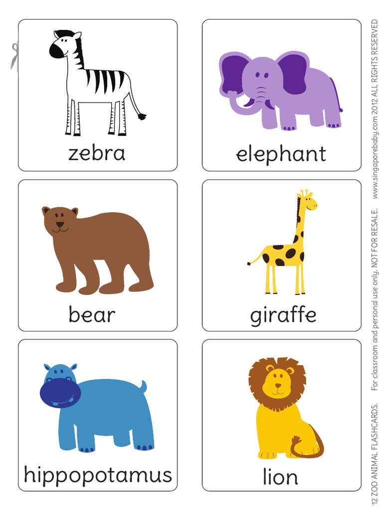 zoo animal flash cards1 pdf mammal ecology organisms