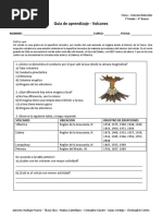 Guía de Aprendizaje - Volcanes 