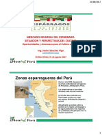 4-Mercado-Mundial-del-Esparrago-Javier-Sánchez-Vigo.pdf