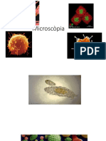 Microscòpia.ppt