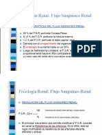 FILTRACION GLOMERULAR