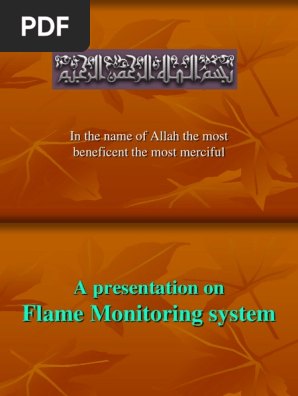 Flame Monitoring System