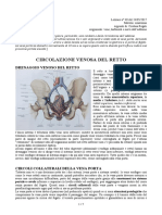 40 - Anatomia II - 24-05-2017