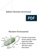 Bakteri Resisten Koromosomal