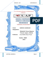 292102923-Informe-Empresa-Petroperu-Auditoria-Ambiental.docx