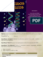 Acidos Nucleicos