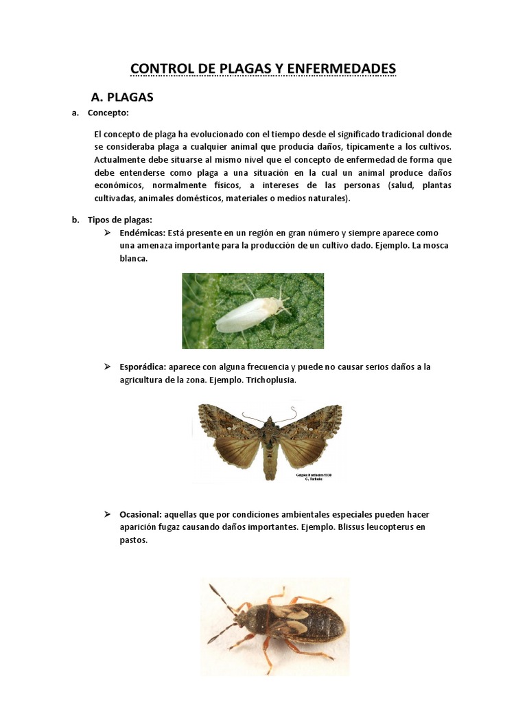 Control de Plagas y Enfermedades | PDF | Plaga (organismo) | Insectos ...