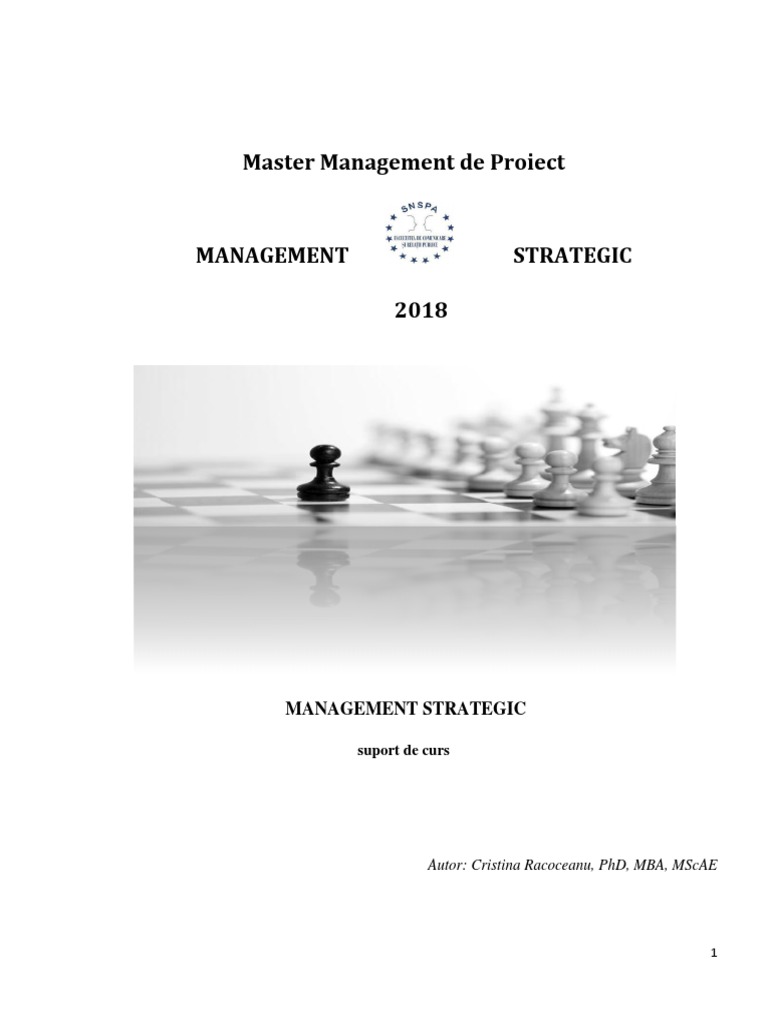 Suport Curs Management Strategic | PDF