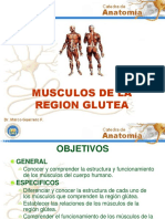 Músculos Región Glútea