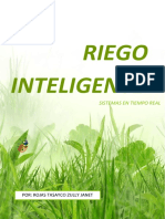 Riego Inteligente1