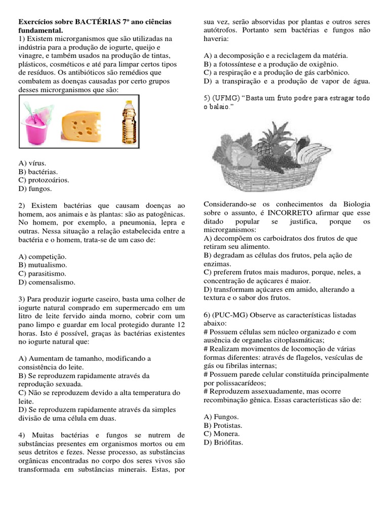 Exercícios Sobre BACTÉRIAS 7º Ano Ciências Fundamental | Bactérias ...