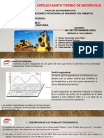 Perfil Longitudinal (Presentacion)