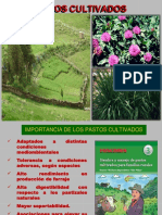 Caracteristicas de Pastos Cultivados (Sem 3) PDF
