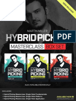 Martin Miller Hybrid Picking Masterclass