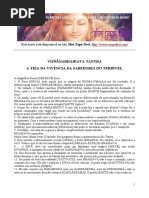 Vijnanabhairava-tantra.pdf