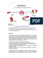 Monografia Final Biofisica