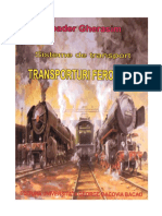 Sistemul_transporturilor_volI_Tr_feroviare.pdf