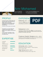 Amr Mohamed: Experience Profile