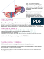 DRENAJE Y ESTRUCTURA DEL INTESTINO DELGADO