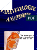 1. Anatomia, Fiziologia , Fiziopatologia Faringelui