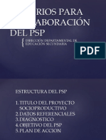 Criterios para La Elaboración Del PSP