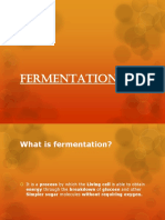 Fermentation
