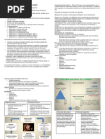 Caracteristicas Del Agente Rabia