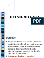 Ileusul Meconial