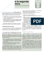Segunda Neurona Motora PDF
