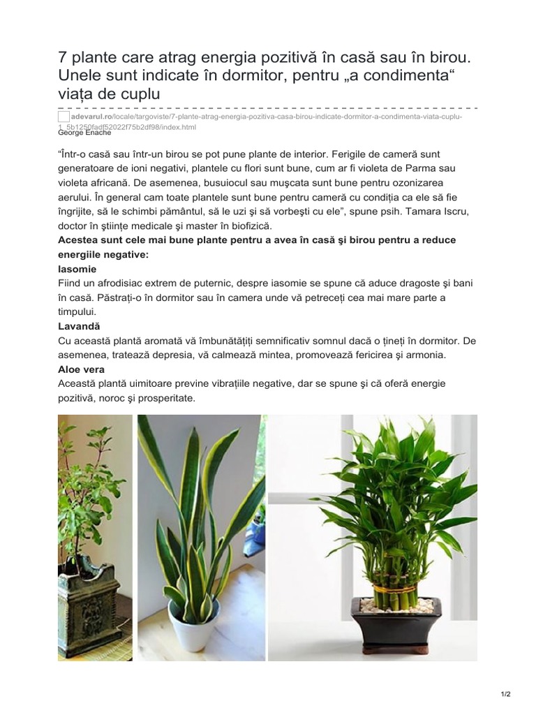aquatic banana plant Nymphoides Aquatica/ Banana Plant – Chichi's Planted Dreams main image 1