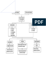 259220389 Pathway Abortus