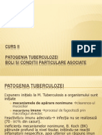 patogenia tuberculozei
