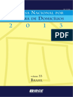 Pnad 2013 v33 BR PDF