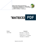 Informe Sobre Matrices