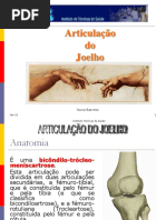14-Joelho.pdf
