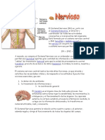 El Sistema Nervioso_0.pdf