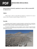 Informe Mineral FF3 - MDV.