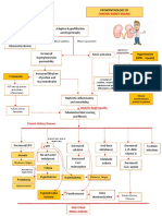 Pathophysiology - CKD Bana