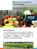261137214 Postcosecha de Frutas y Hortalizas Pptx
