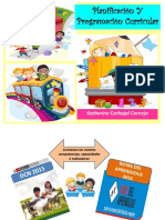 Planificacicón-Y-Programación - Curricular 2016 PDF