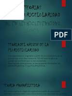 Pluricelularidad 1