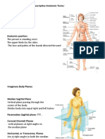 Anatomy, Lecture 1, Inroduction To Anatomy (Slides)