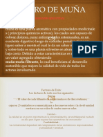 Exposiciond e Agronegocios