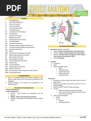 2.02 Gross Anatomy Trans - Heart