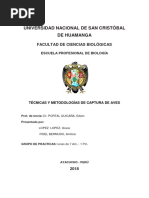 Métodos de Captura de Avesarreglado